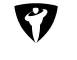 לוגו רב בריח